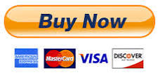 LARGE PAYPAL BUY NOW BUTTON